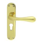 Manital EL21Y Astro Lever On Euro Lock Backplate (LEAD TIME: 2-3 DAYS)