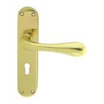 Manital EL21 Astro Lever On Lock Backplate (LEAD TIME: 2-3 DAYS)